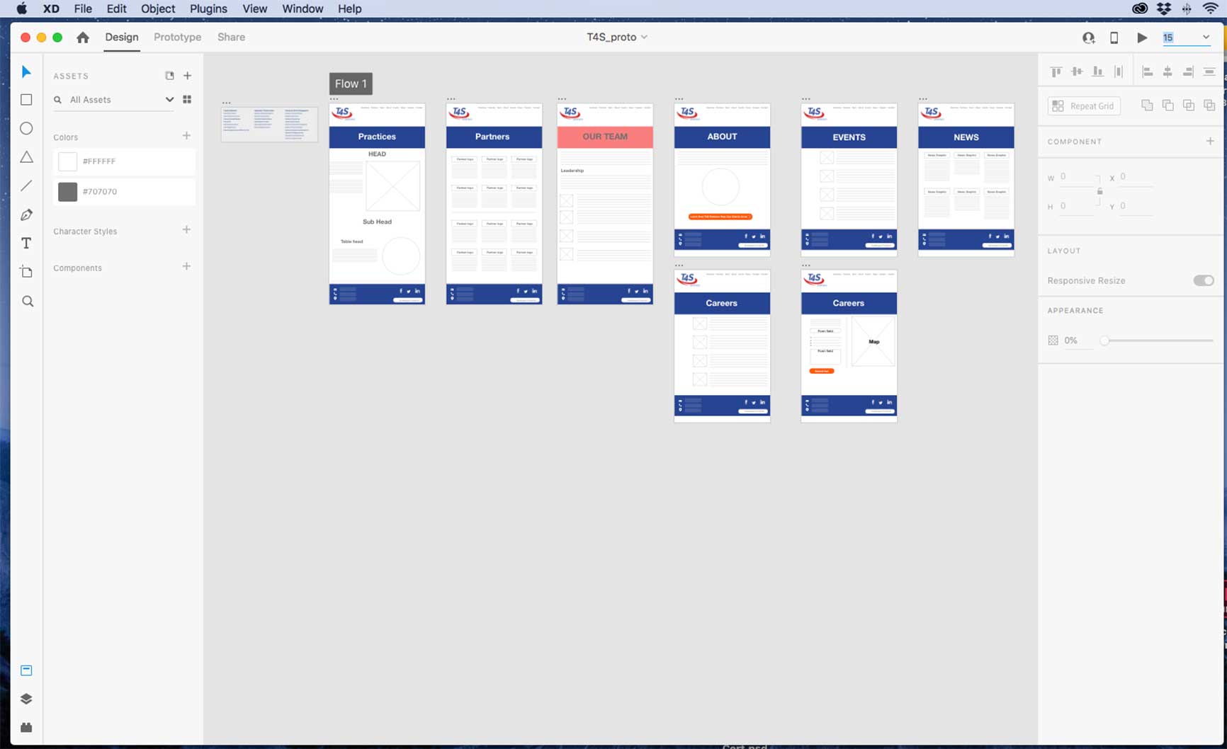 T4S Wireframe